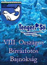 Fotós Bajnokság 2005 portfóliója