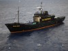 A tankolás után ismét a japán bálnavadászok nyomába ered a Sea Shepherd hajója.