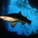 South West Rock, Shark Gutters