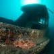 Neptun Bay / Silói Öböl csónakroncs