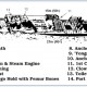 A Yongala érdekes pontjainak térképe