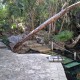 Kukulcan cenote bejárat
