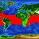 Az érdescápa elterjedtségét ábrázoló térkép