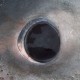 A heringcápa nagyméretű, fekete retinájú szemekkel rendelkezik