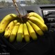 Banán fürt