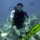 Ras Mohammed, Yolanda Wreck / Reef
