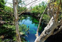 Cenote bejárata