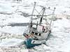 Totális kudarcba fulladt a kanadai fókavadászat, miután közel száz fókavadász hajó a jég fogságában rekedt.