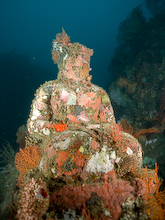 Víz alatti templomkert szobor